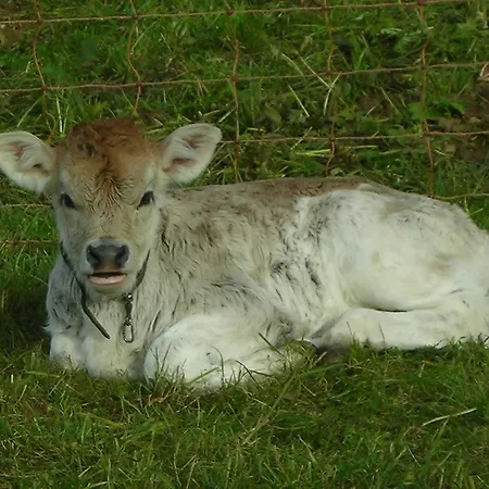 Ferienbauernhof Liebschick *