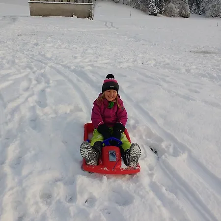 Ferienbauernhof Liebschick