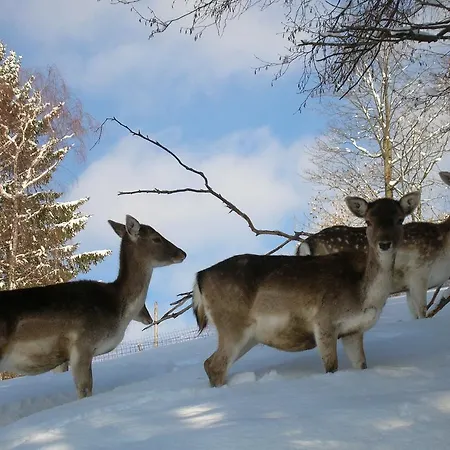 Ferienbauernhof Liebschick Egg