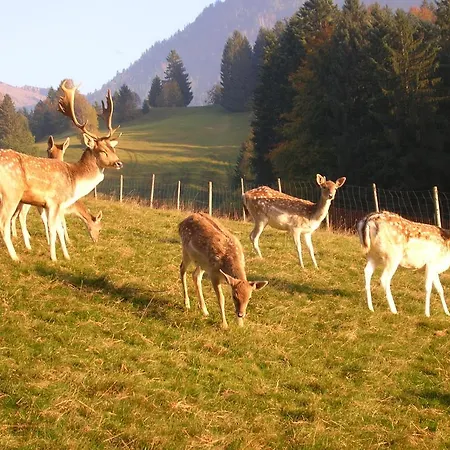 Lantgård Ferienbauernhof Liebschick *