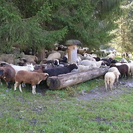 Ferienbauernhof Liebschick