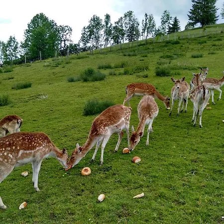 Farm stay Ferienbauernhof Liebschick