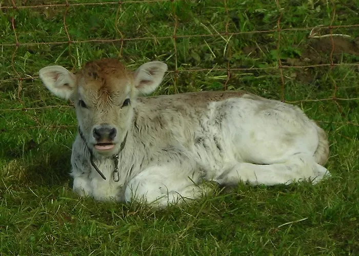Ferienbauernhof Liebschick *