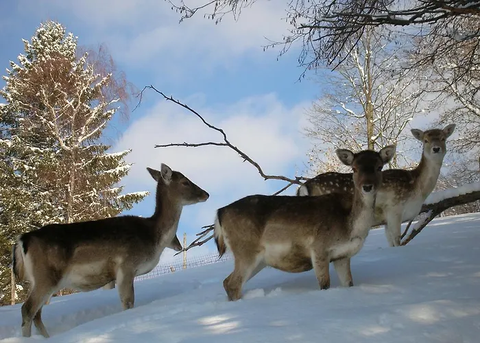 Ferienbauernhof Liebschick Egg