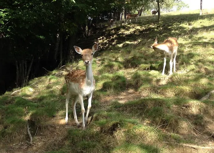 Ferienbauernhof Liebschick